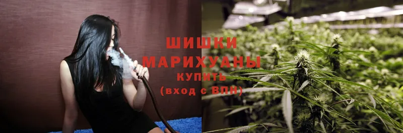 МАРИХУАНА OG Kush  закладка  Пучеж 